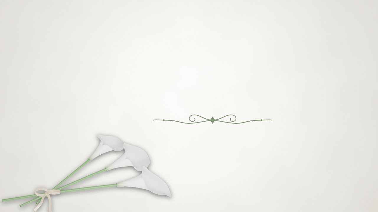 Single Calla Lily theme background